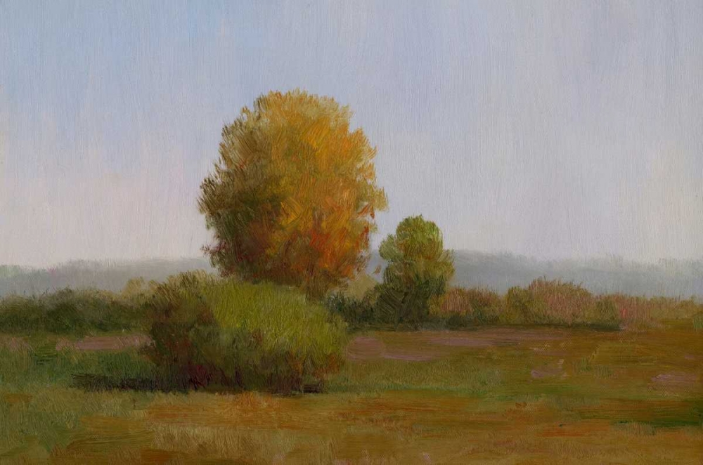 Tree in the Sun II art print by Art Chin for $57.95 CAD