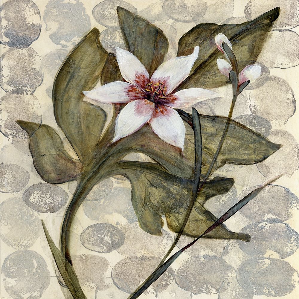 Amazonia 4 art print by Amore for $57.95 CAD