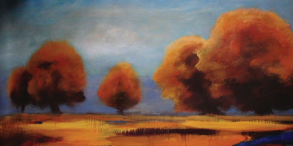 Western Sky art print by Sokol-Hohne for $57.95 CAD