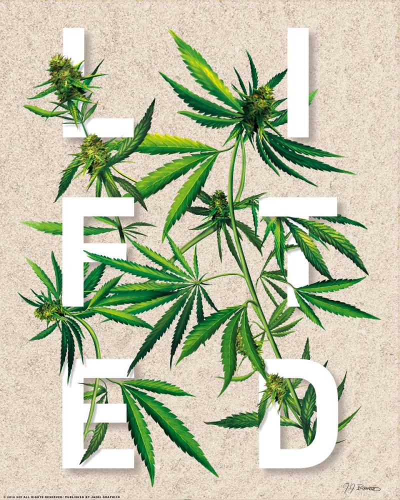 Lifted art print by JJ Brando for $57.95 CAD