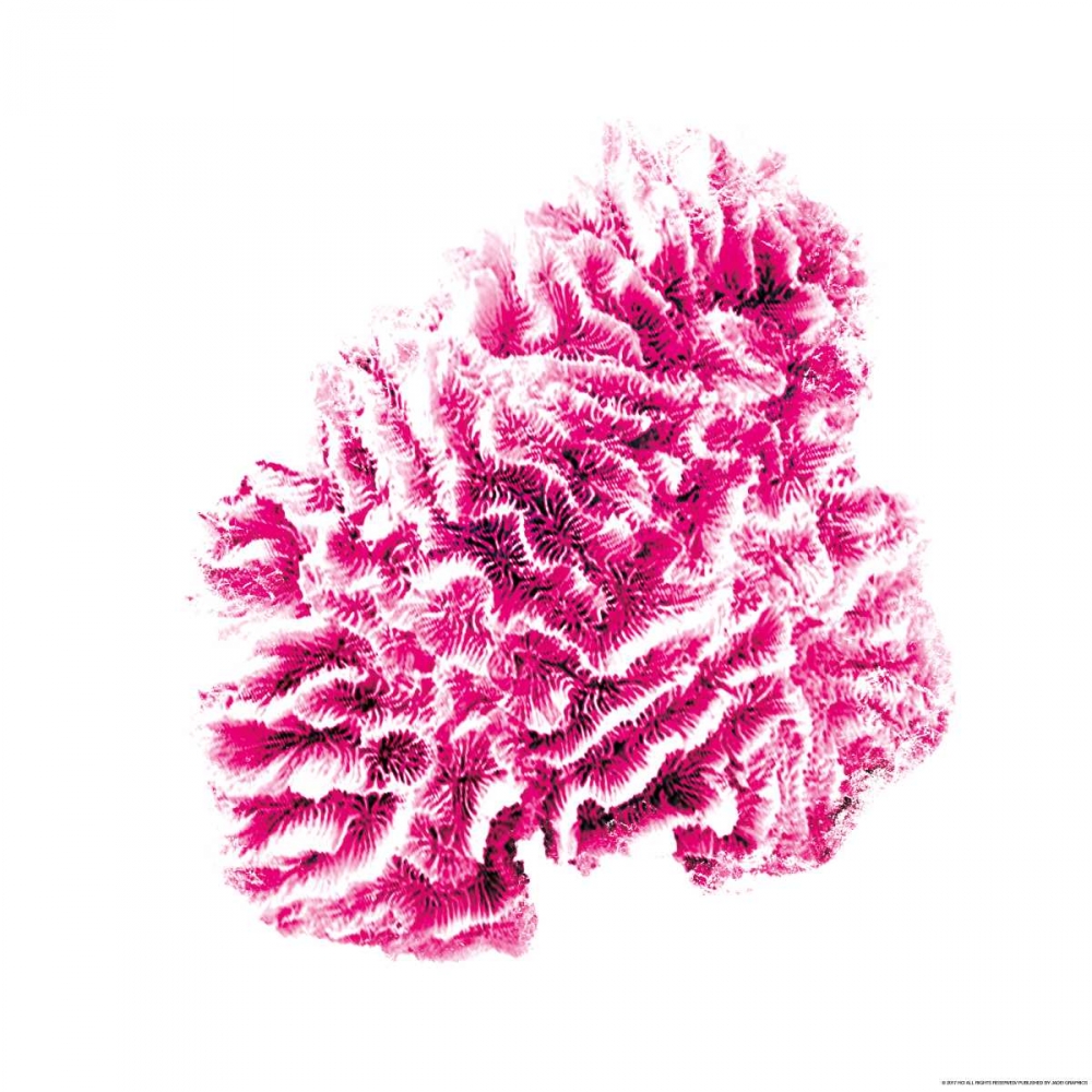 Red Coral art print by JJ Brando for $57.95 CAD