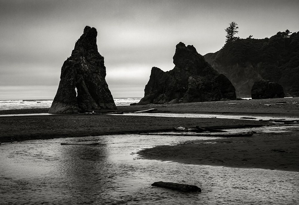 Creek To Second Beach art print by Dan Katz for $57.95 CAD