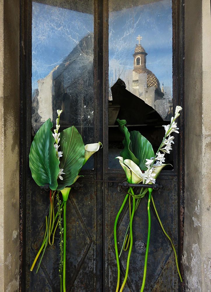 Giant Lillies art print by Dan Katz for $57.95 CAD