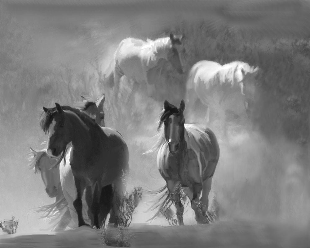 Choctaw Run art print by Sally Linden for $57.95 CAD