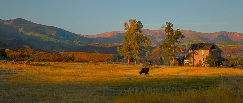 Fall Grazing art print by Sally Linden for $57.95 CAD