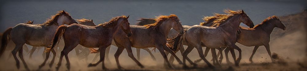 Running Flames art print by Sally Linden for $57.95 CAD