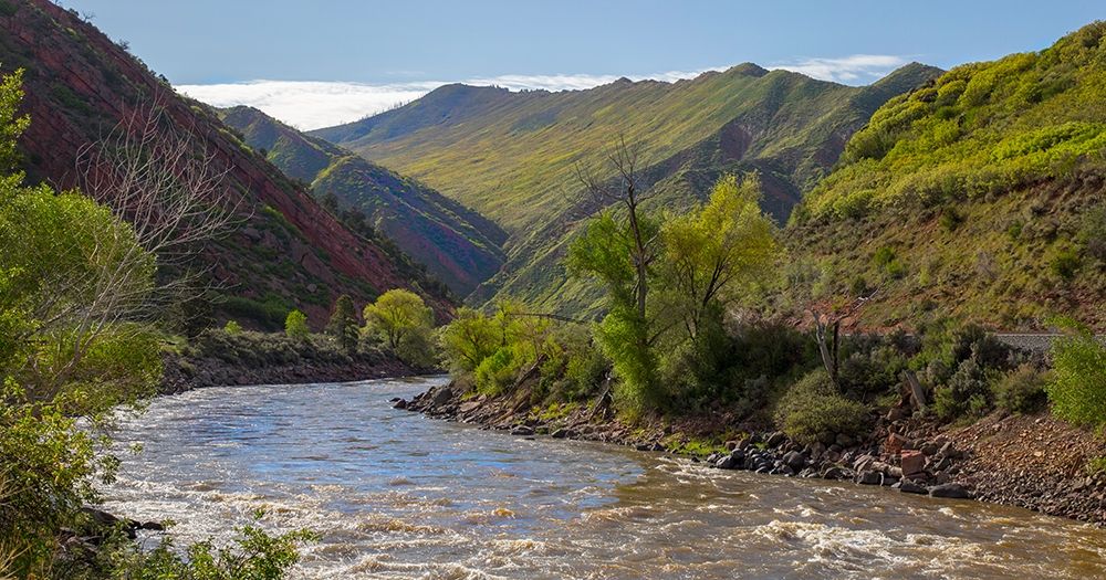 South Canyon Spring art print by Sally Linden for $57.95 CAD