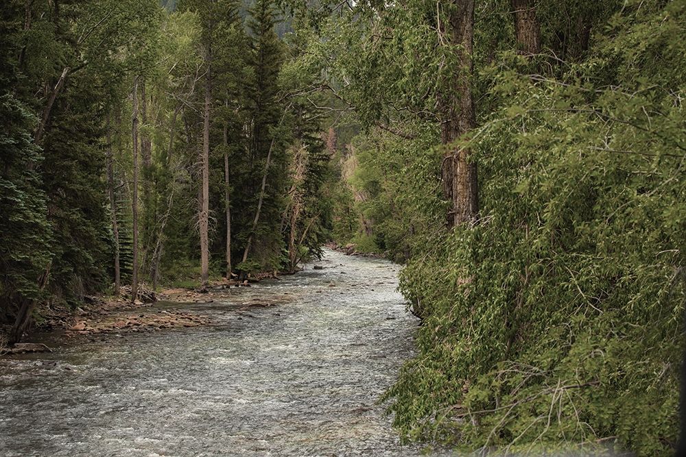 Winding River art print by Sally Linden for $57.95 CAD