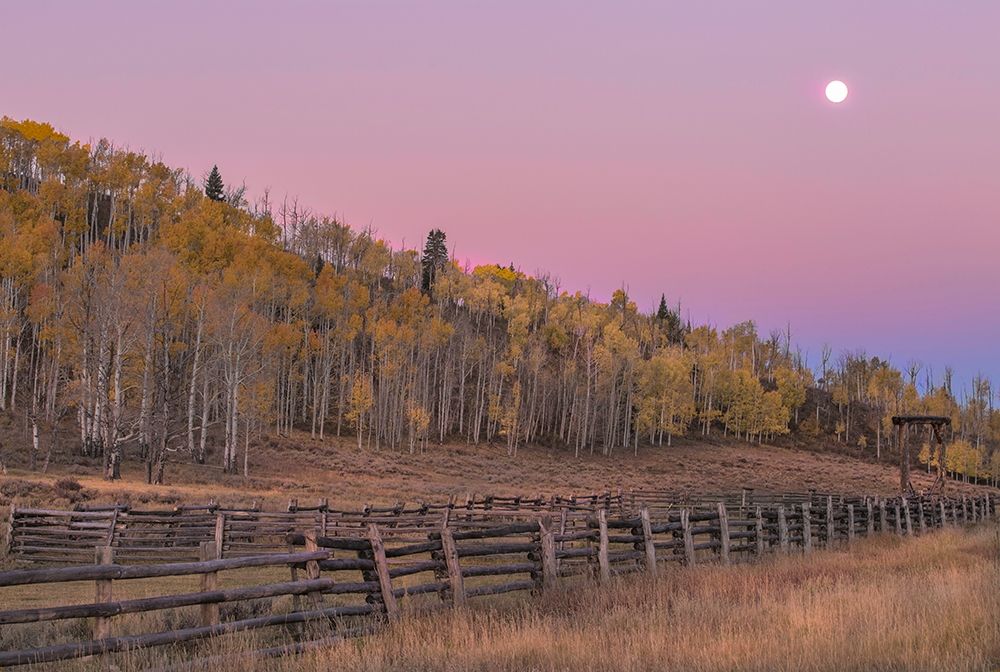 Sunrise Rideway art print by Sally Linden for $57.95 CAD