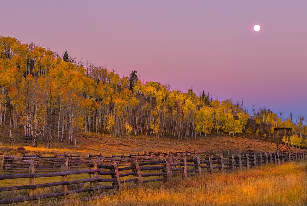 Sunrise Rideway #2 art print by Sally Linden for $57.95 CAD