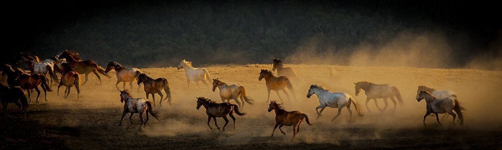 Into The Wild art print by Sally Linden for $57.95 CAD