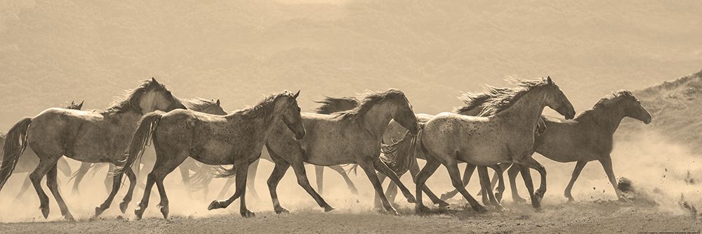 Horse Parade art print by Sally Linden for $57.95 CAD