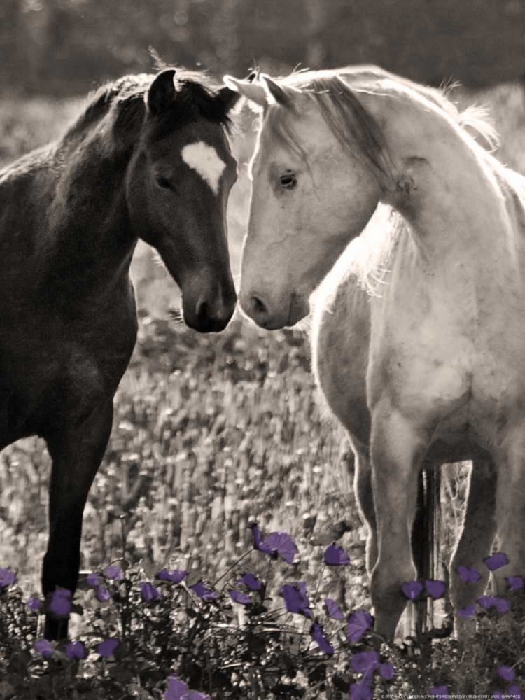 Bff art print by Sally Linden for $57.95 CAD