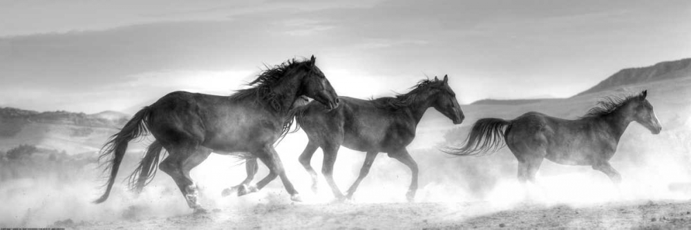 Rolling By art print by Sally Linden for $57.95 CAD