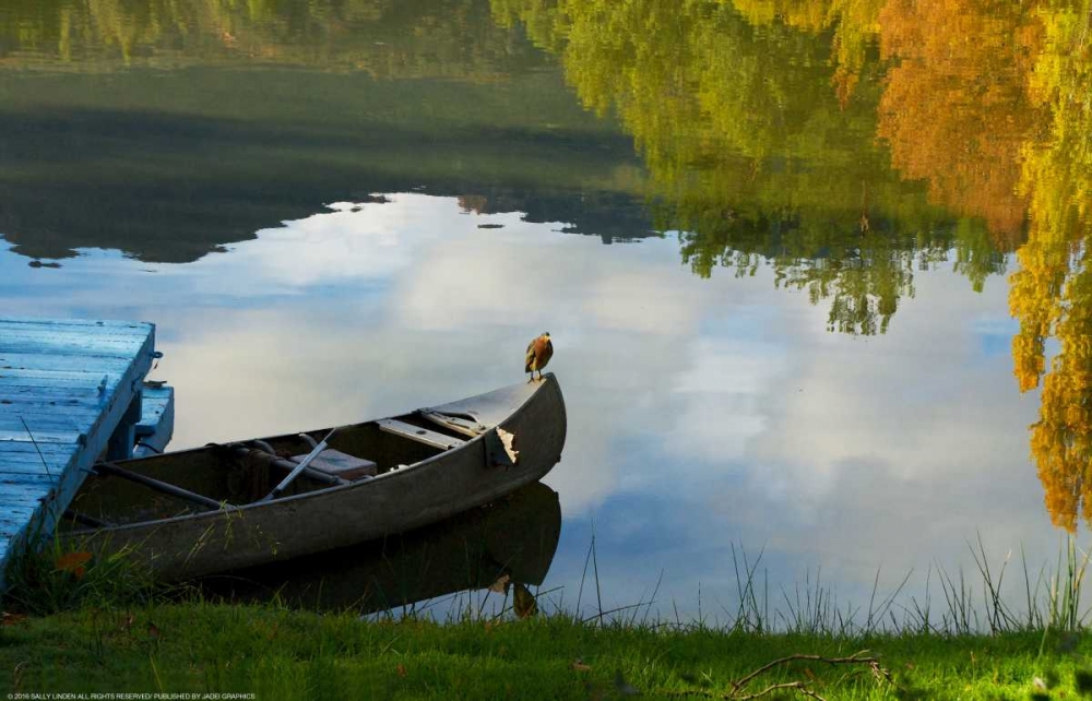 Lake Reflection art print by Sally Linden for $57.95 CAD