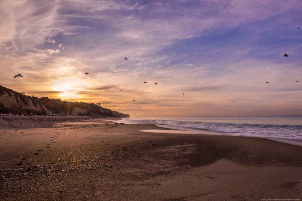 Morning Beach Walk art print by Sally Linden for $57.95 CAD