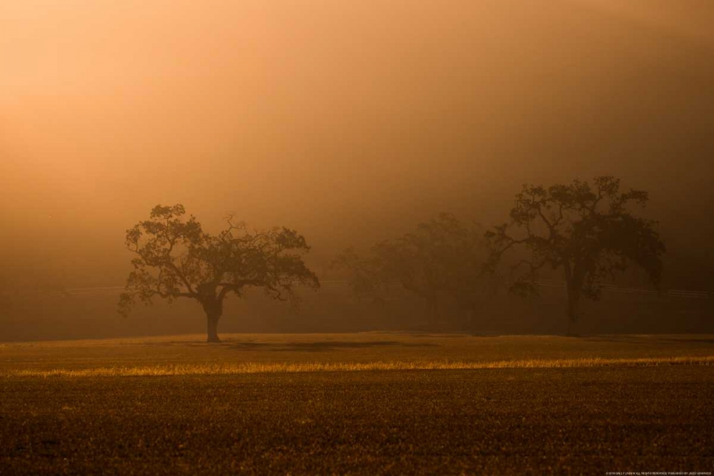 Sun Rising art print by Sally Linden for $57.95 CAD
