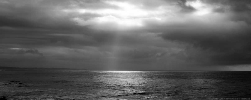Sunbeam art print by Sally Linden for $57.95 CAD