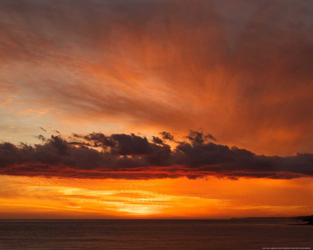 Orange Sky art print by Sally Linden for $57.95 CAD