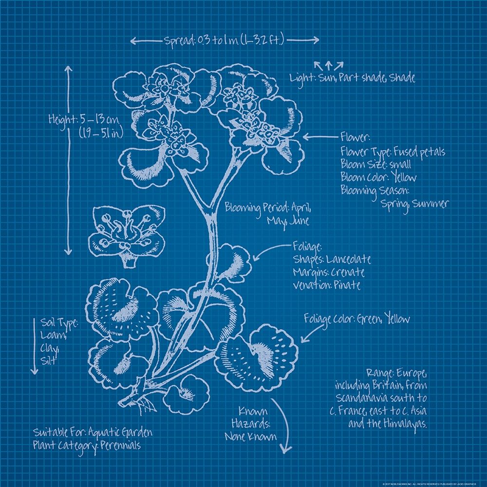 Blueprints 1 art print by Inc. Nobleworks for $57.95 CAD