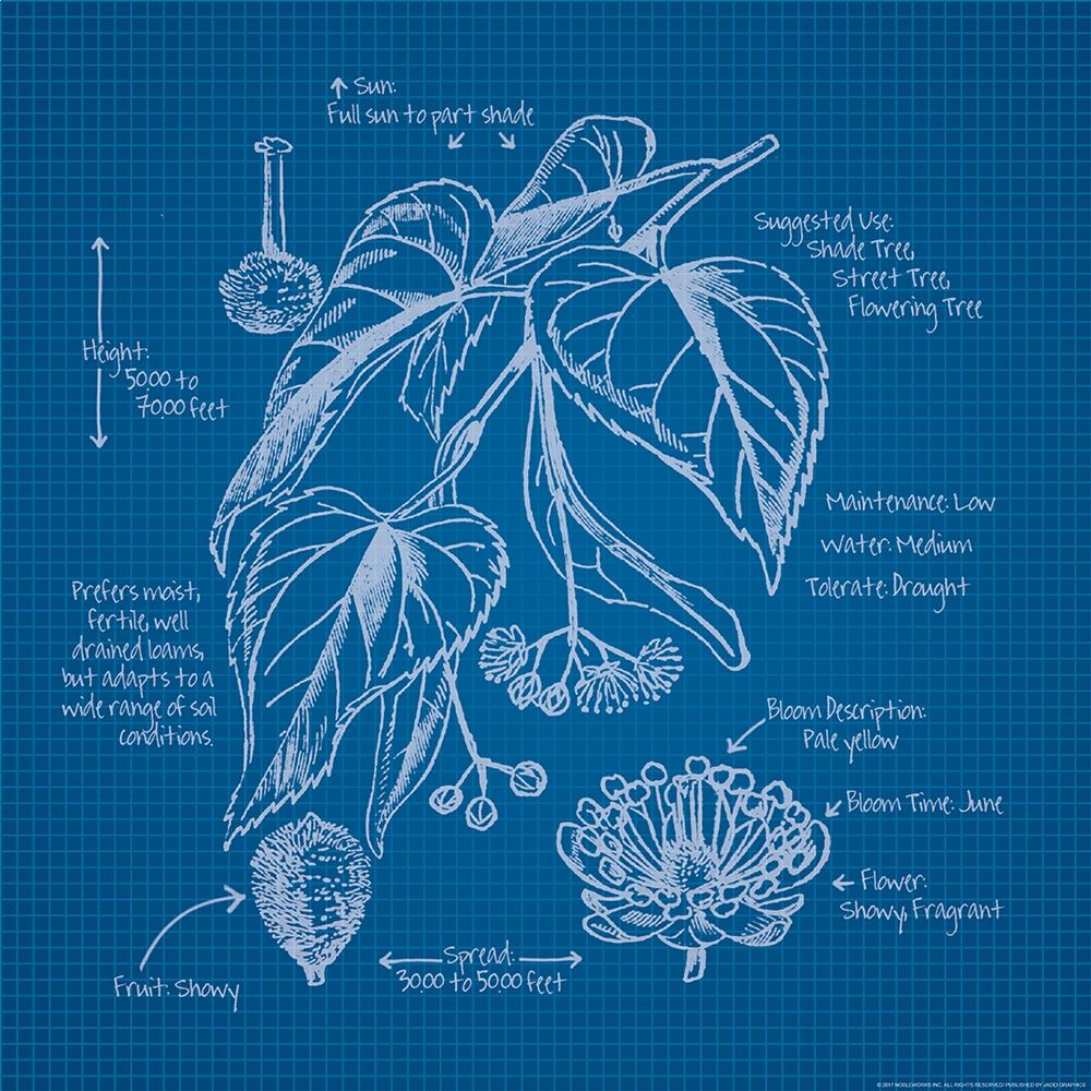 Blueprints 2 art print by Inc. Nobleworks for $57.95 CAD