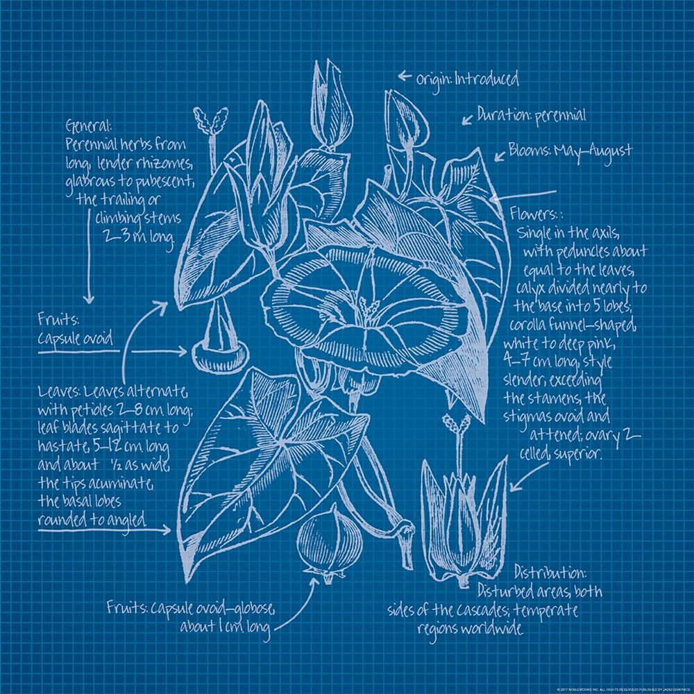 Blueprints 3 art print by Inc. Nobleworks for $57.95 CAD