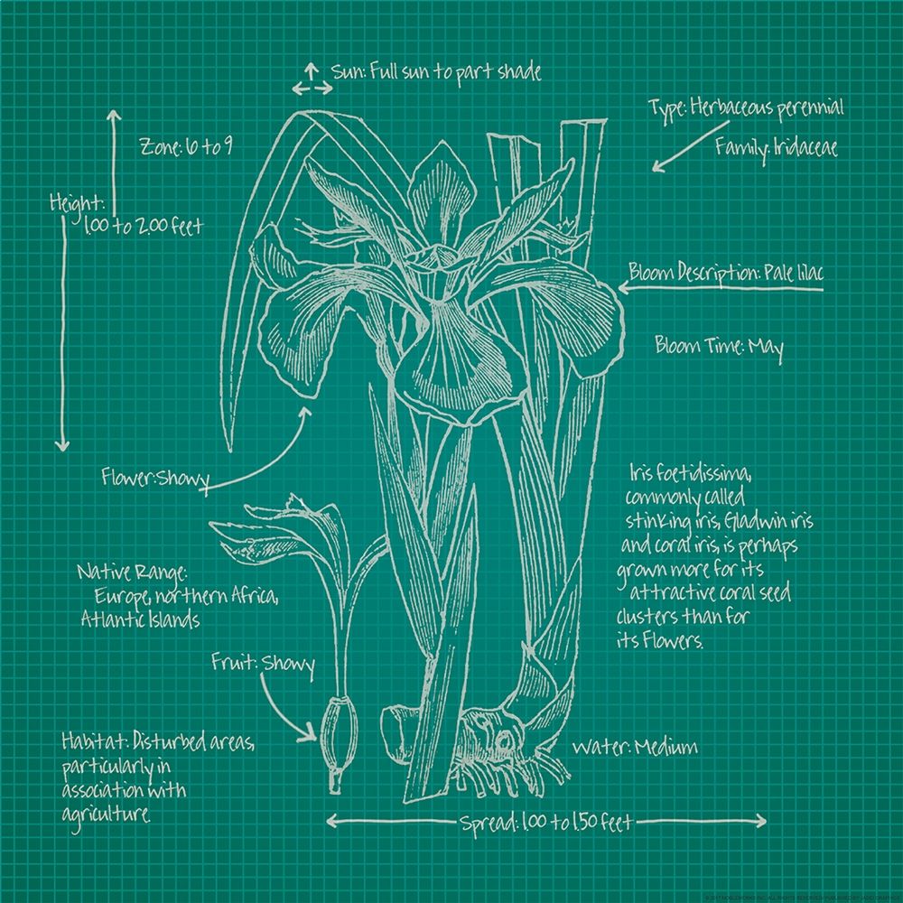 Blueprints 4 art print by Inc. Nobleworks for $57.95 CAD