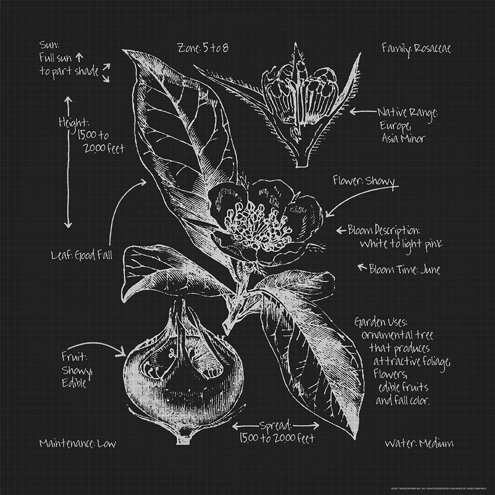 Blueprints 8 art print by Inc. Nobleworks for $57.95 CAD