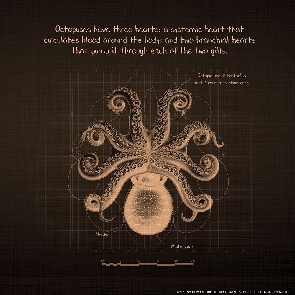 Octoprint 1 art print by Inc. Nobleworks for $57.95 CAD