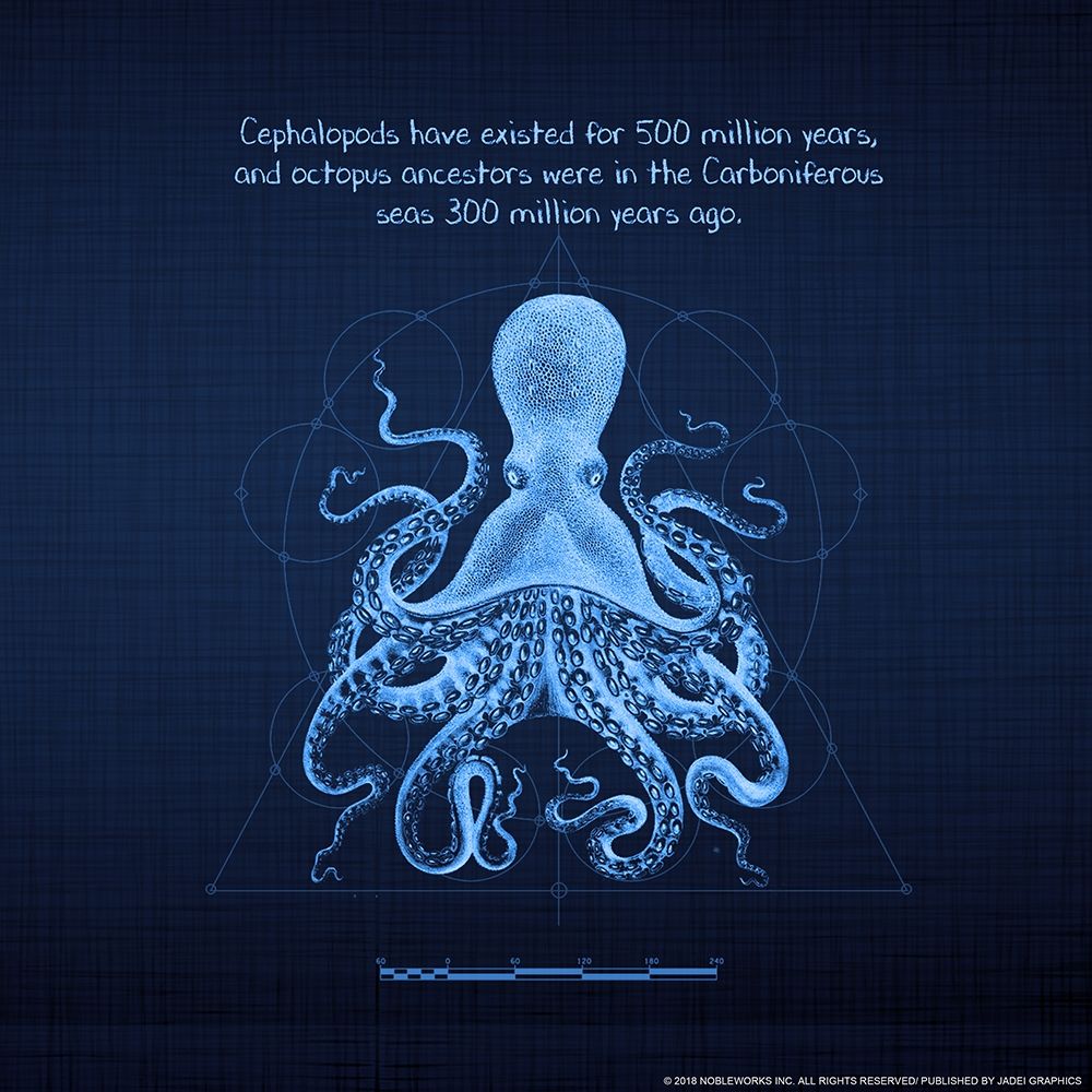 Octoprint 2 art print by Inc. Nobleworks for $57.95 CAD