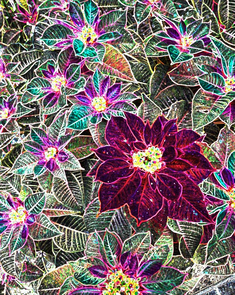 Boquet art print by Rajiv Khilnani for $57.95 CAD