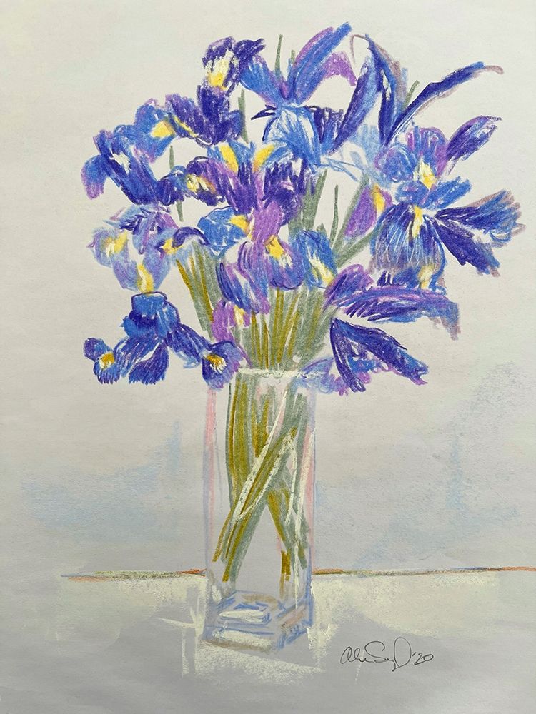 Iris art print by Alan Segal for $57.95 CAD