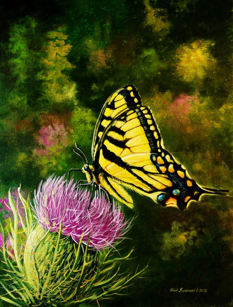Butterfly art print by Richard Summers for $57.95 CAD