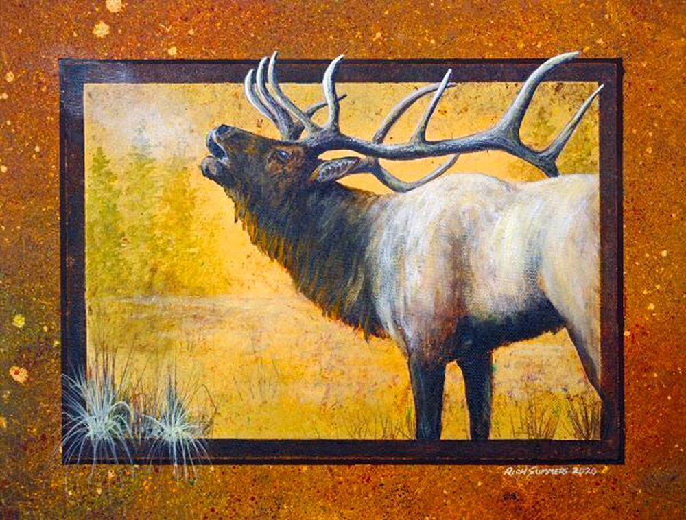 Elk Morning art print by Richard Summers for $57.95 CAD