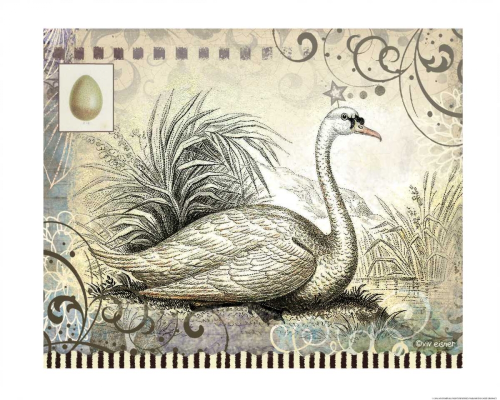 Swan art print by Viv Eisner for $57.95 CAD