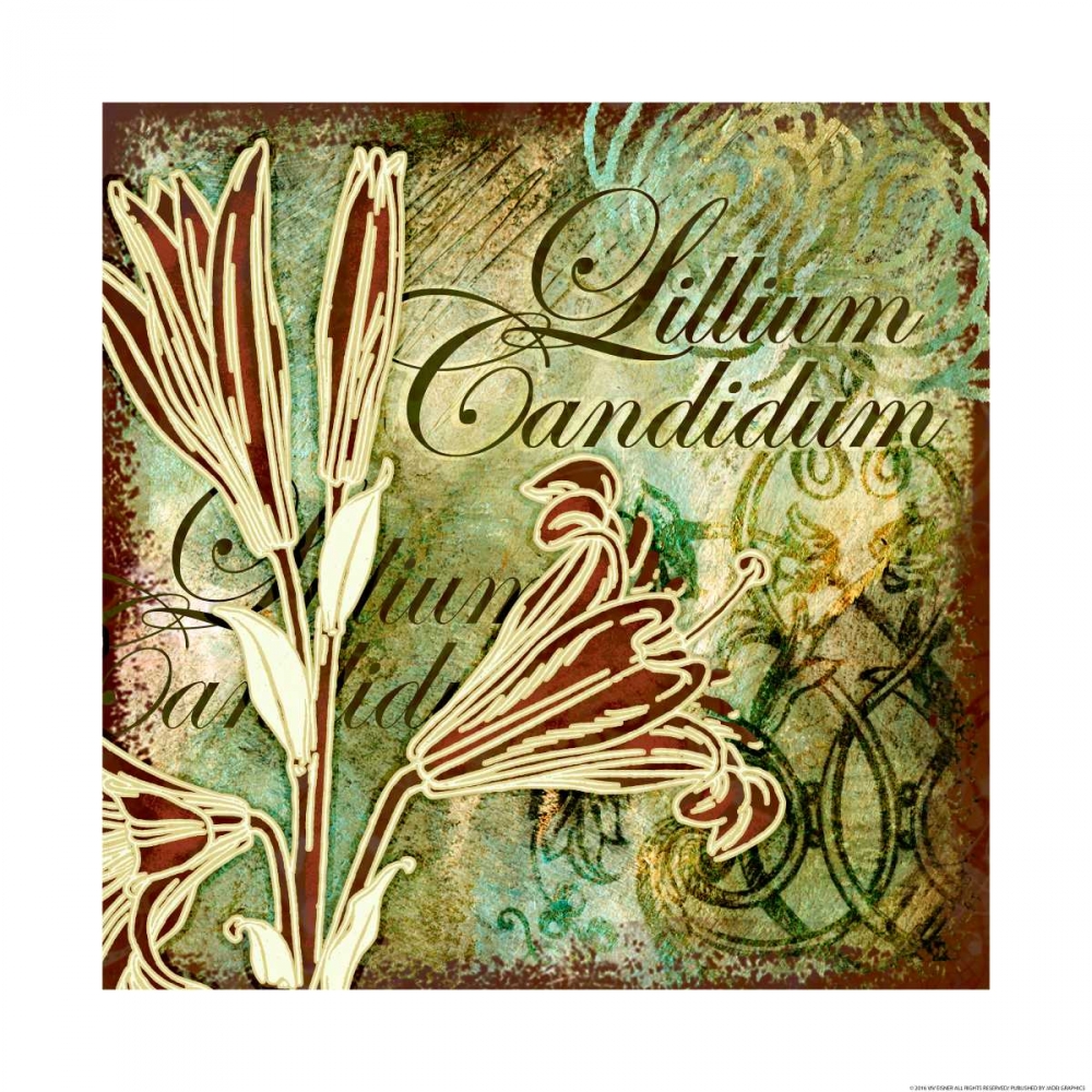 Lillies 2 art print by Viv Eisner for $57.95 CAD