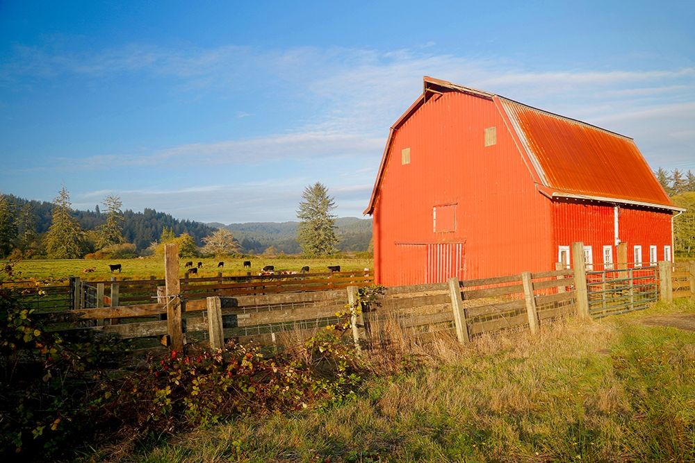 Red Barn With Cows art print by Susan Vizvary for $57.95 CAD