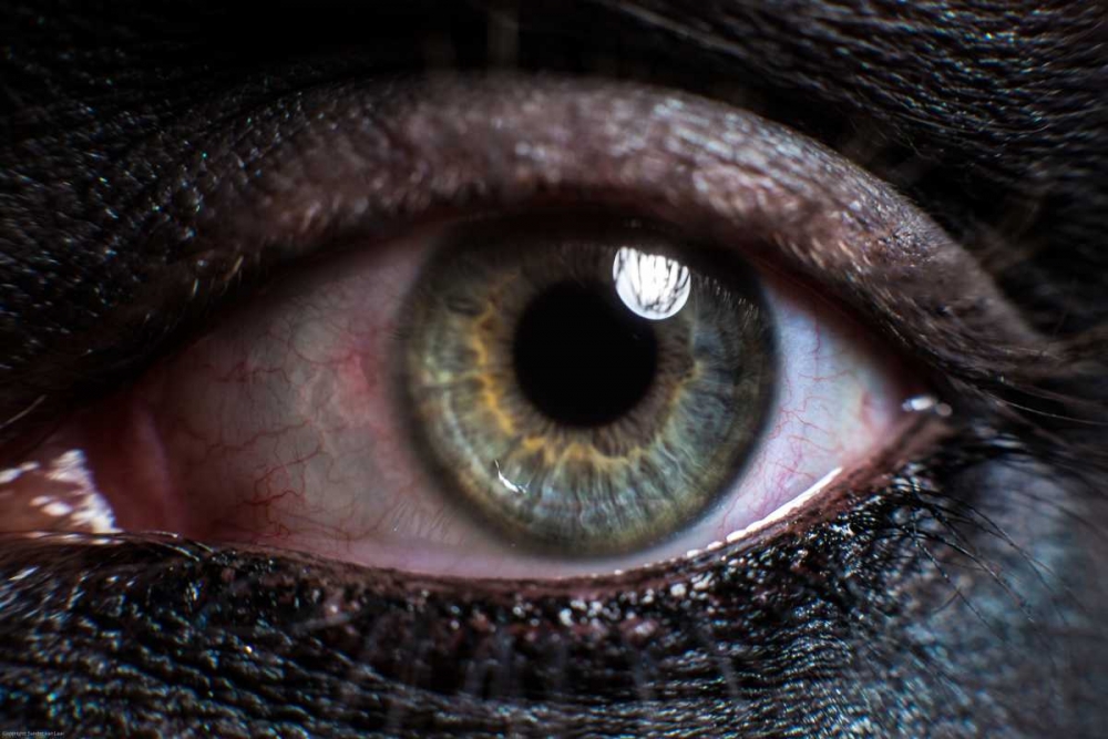 Eye art print by Henk van Gog for $57.95 CAD