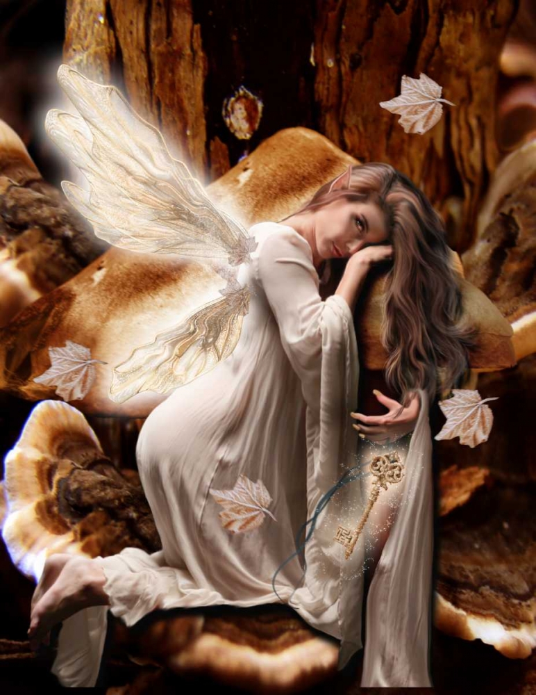 Fairy 45 art print by Babette for $57.95 CAD