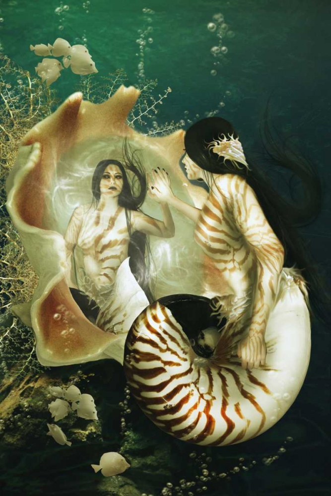 Nautilus art print by Babette for $57.95 CAD