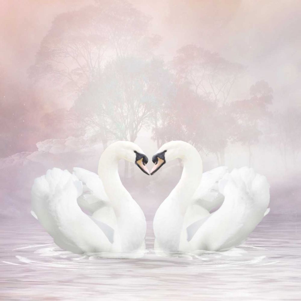 Love Swans art print by Babette for $57.95 CAD