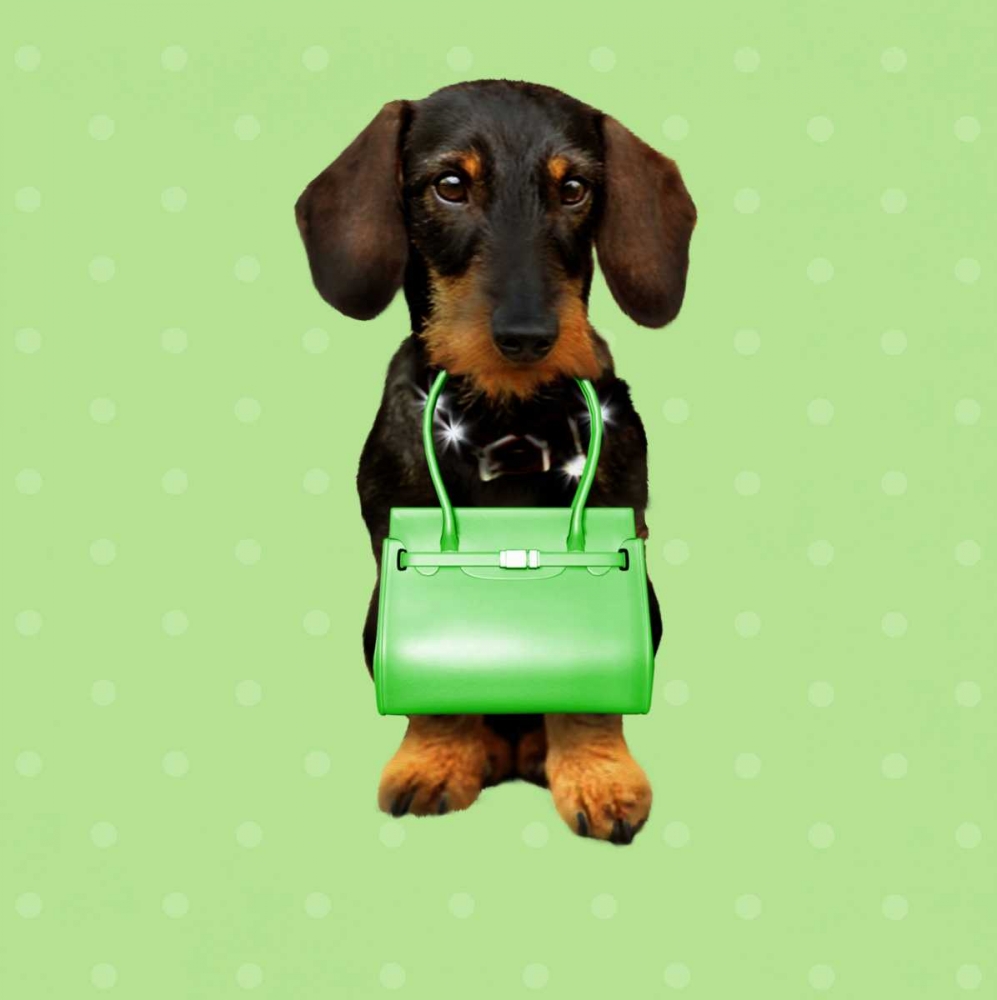 Teckel Green art print by Babette for $57.95 CAD