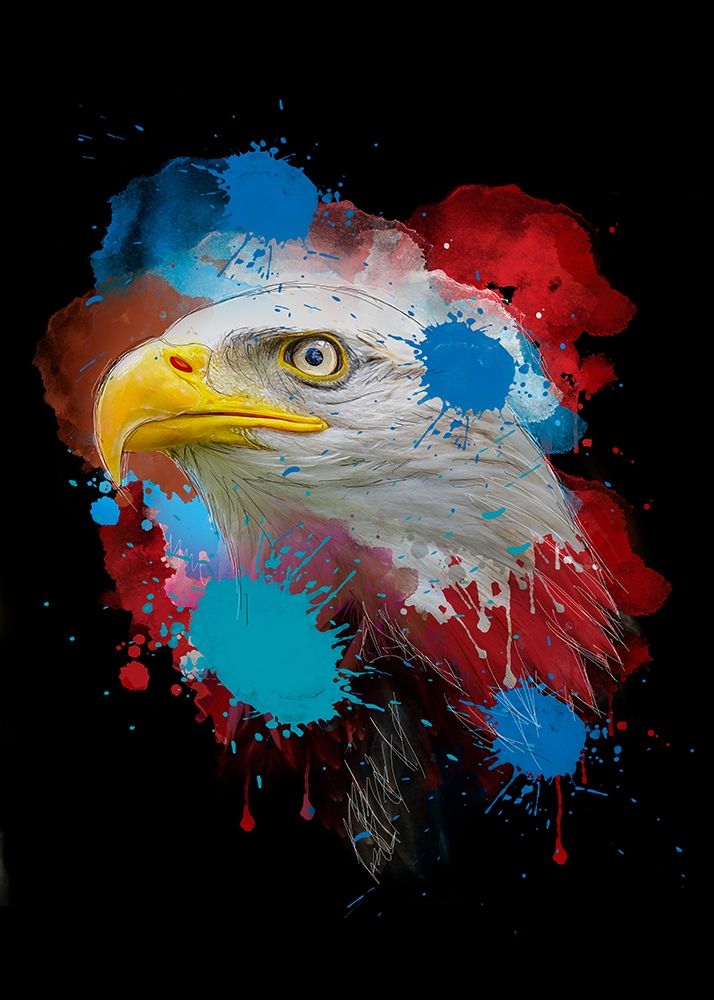 Eagle art print by Henk van Gog for $57.95 CAD