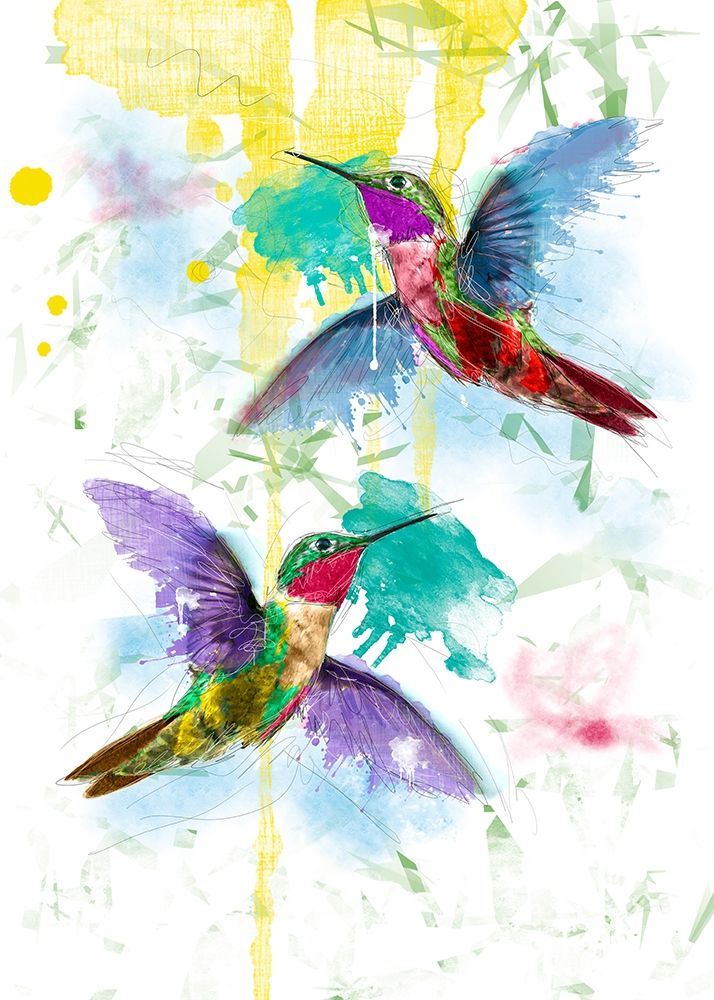 Kolibri art print by Henk van Gog for $57.95 CAD