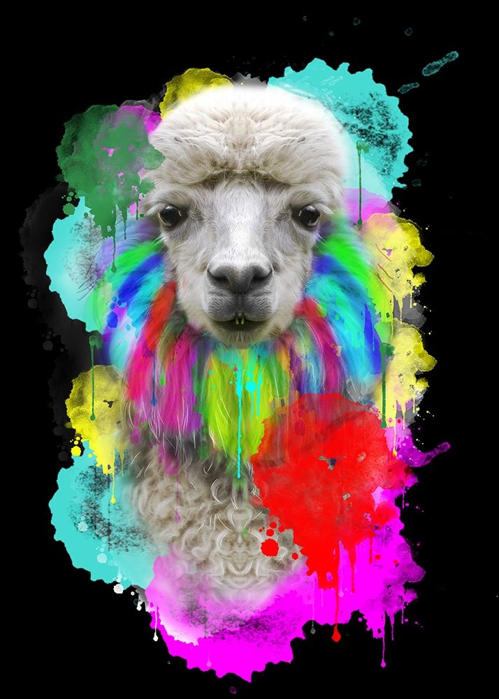 Lama art print by Henk van Gog for $57.95 CAD