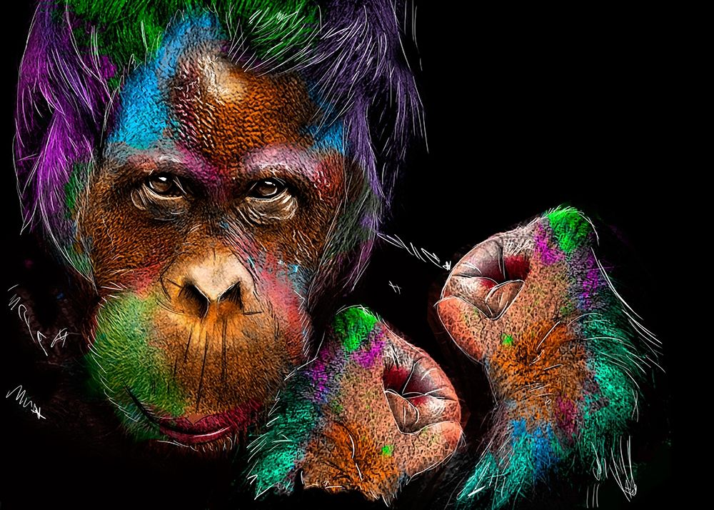 Monkey art print by Henk van Gog for $57.95 CAD