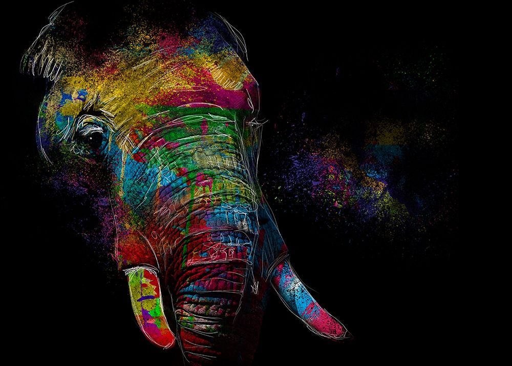 Elephant art print by Henk van Gog for $57.95 CAD