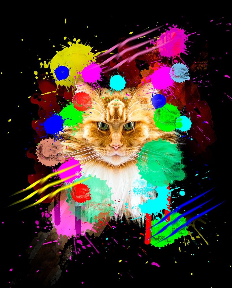 Cat art print by Henk van Gog for $57.95 CAD