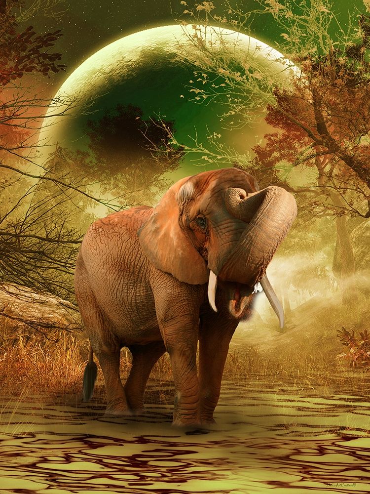 The Elephant Ricardo 2 art print by Babette for $57.95 CAD
