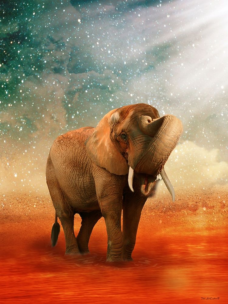 The Elephant Ricardo 5 art print by Babette for $57.95 CAD